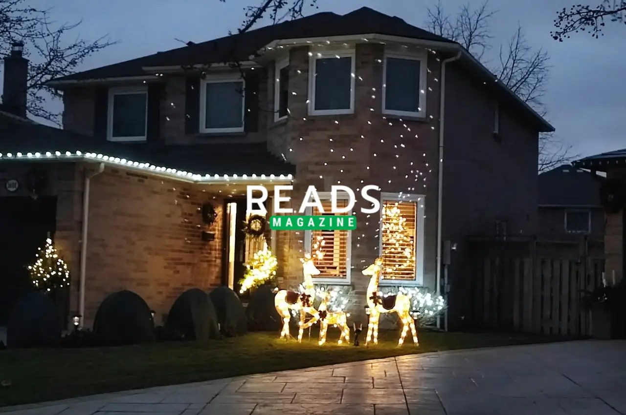 Permanent Christmas Lights Cost